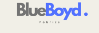 BlueBoyd LLC logo